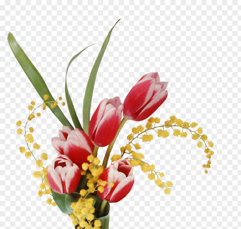 Red Tulips Laptop High-definition Television Flower Wallpaper PNG