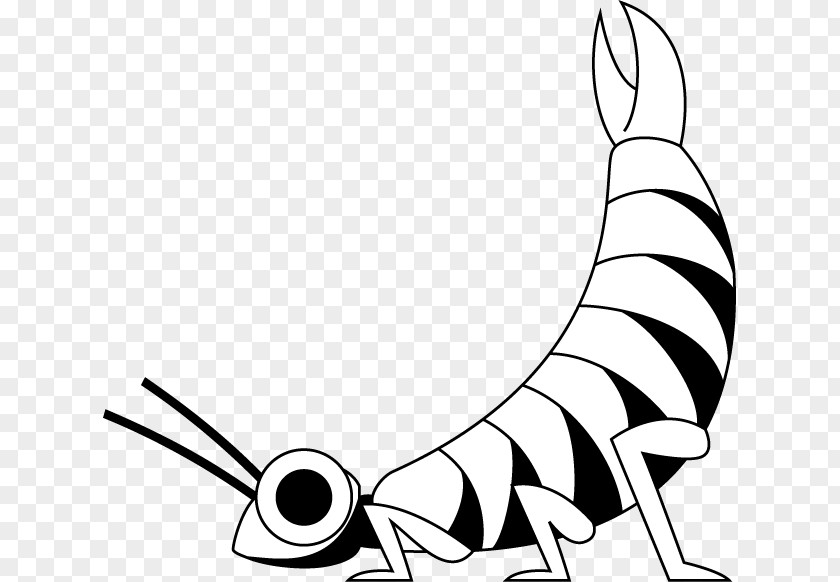Earwigs Insect Clip Art Finger Line Illustration Cartoon PNG