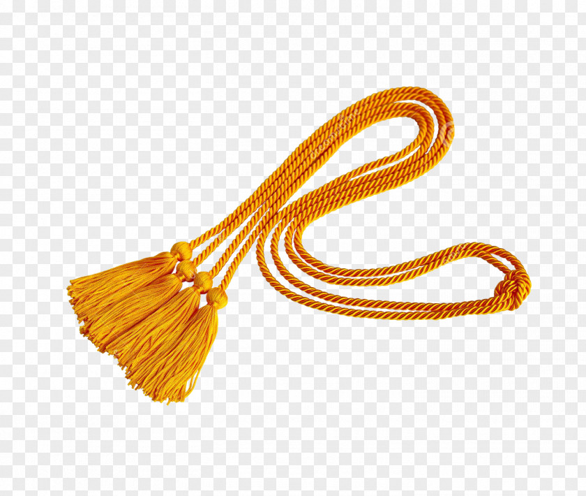 Rope Tassel Square Academic Cap Stock Photography PNG
