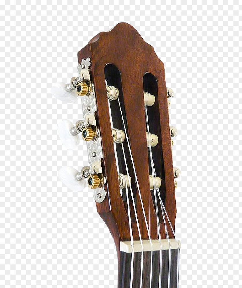 Acoustic Guitar Bass Cavaquinho Tiple Acoustic-electric PNG