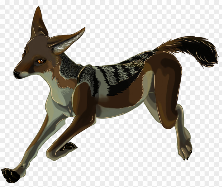 Dog Breed Wildlife Tail PNG