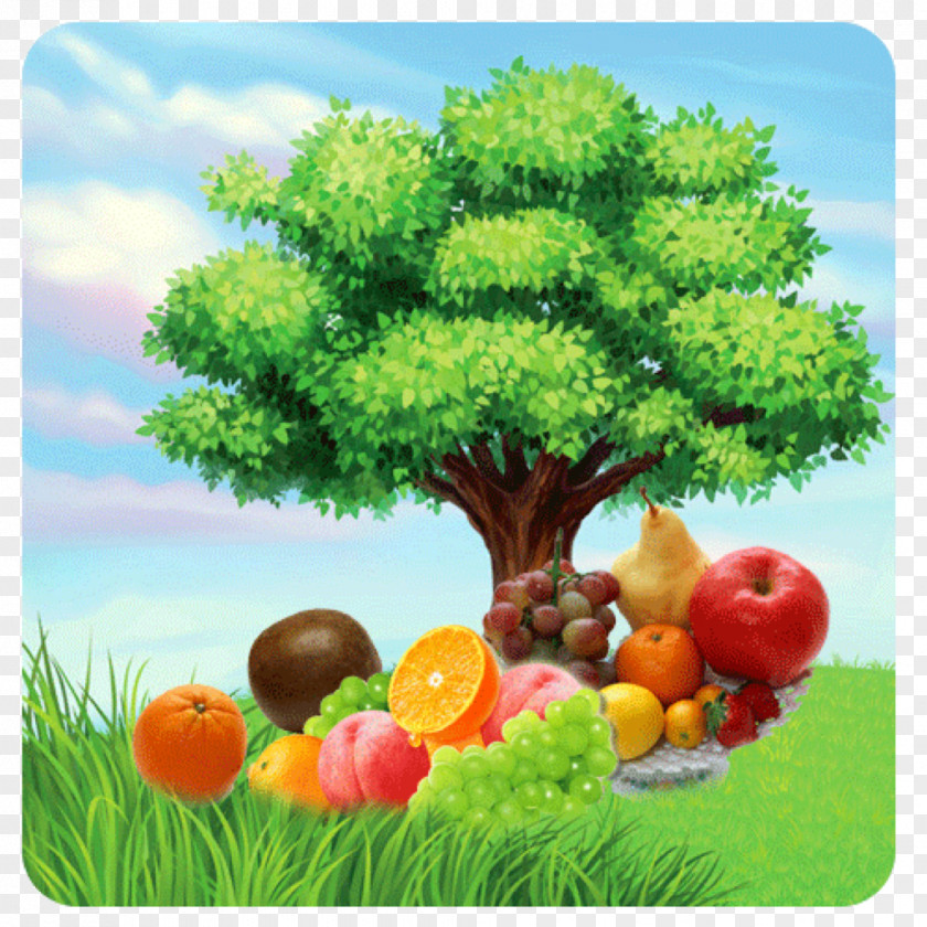 Guangxi Tree Cartoon Drawing Clip Art PNG