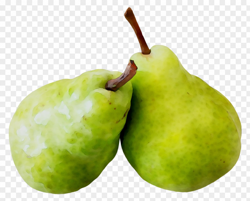 Pear Apple Fahrenheit PNG