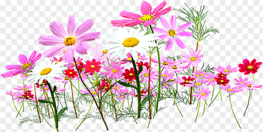 Small Flower Garden Cut Flowers Clip Art PNG