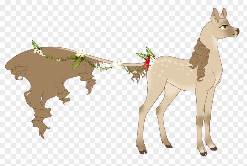 Horse Reindeer Donkey Camel Goat PNG