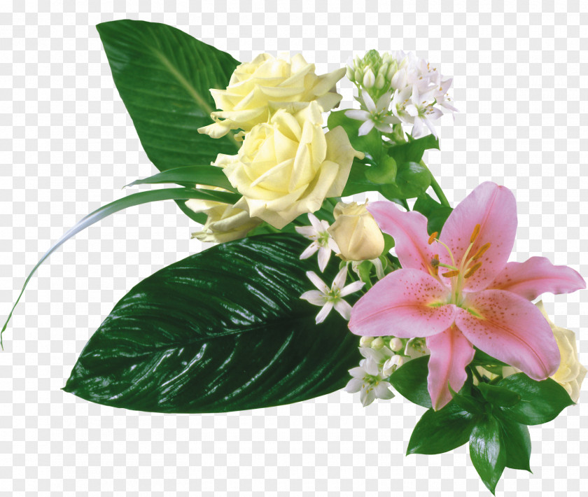 Lily Flower Bouquet Desktop Wallpaper Clip Art PNG