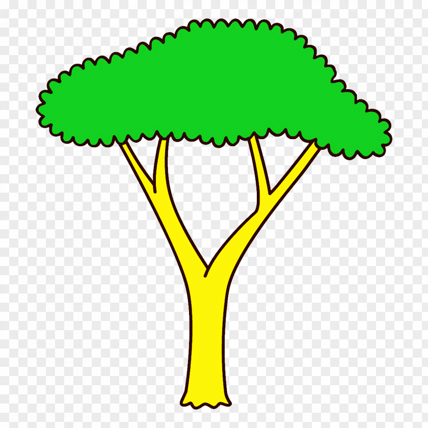 Plant Stem Tree Green Yellow Leaf PNG