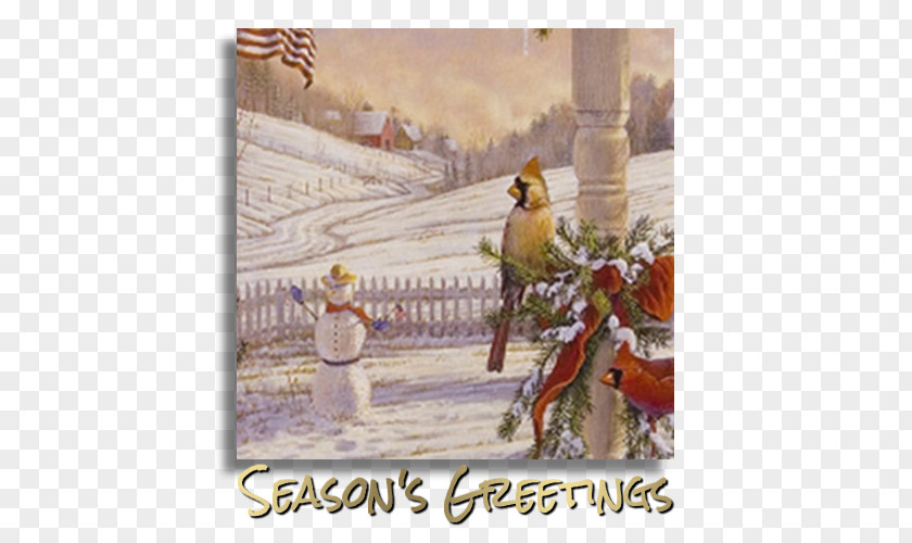 Season Greetings Advertising Envelope Birchcraft Studios Stock Photography Christmas Card PNG