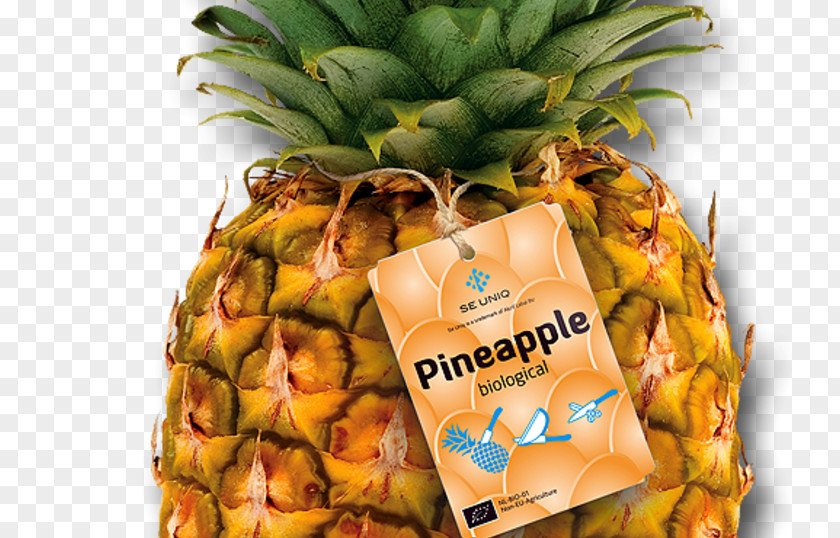 Etiketten & Verpakkingen Sprains And Strains Food BromelainPineapple Pineapple Altrif Label BV PNG