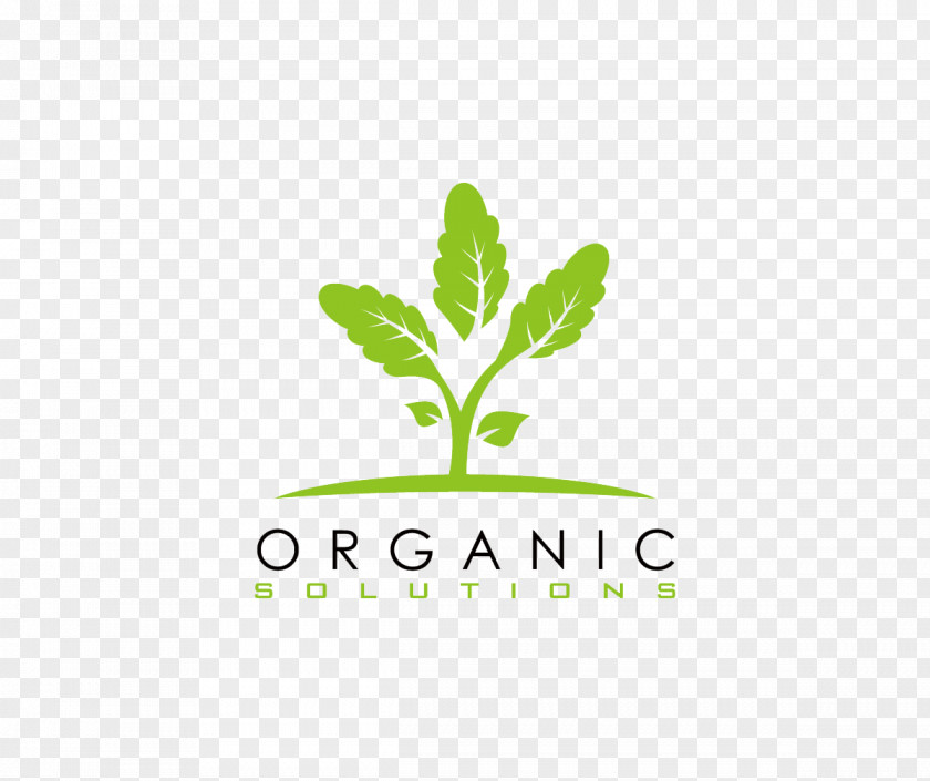 Organic Exquisite Logo Design Green PNG