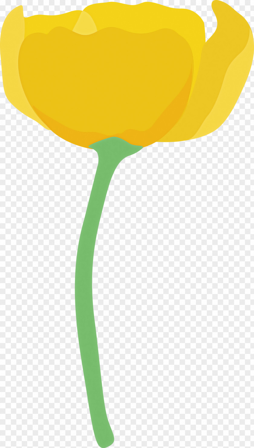 Poppy Flower PNG