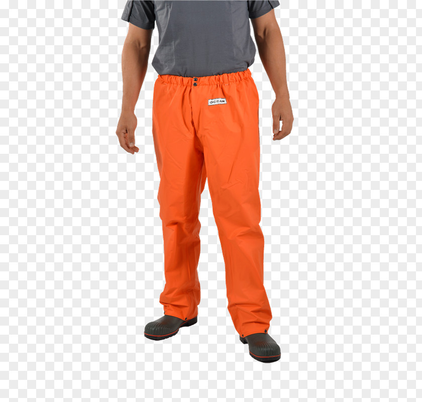 Trousers Waist Pants Public Relations PNG