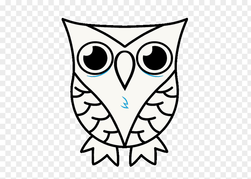 Color Glare Owl Drawing Cartoon Clip Art PNG
