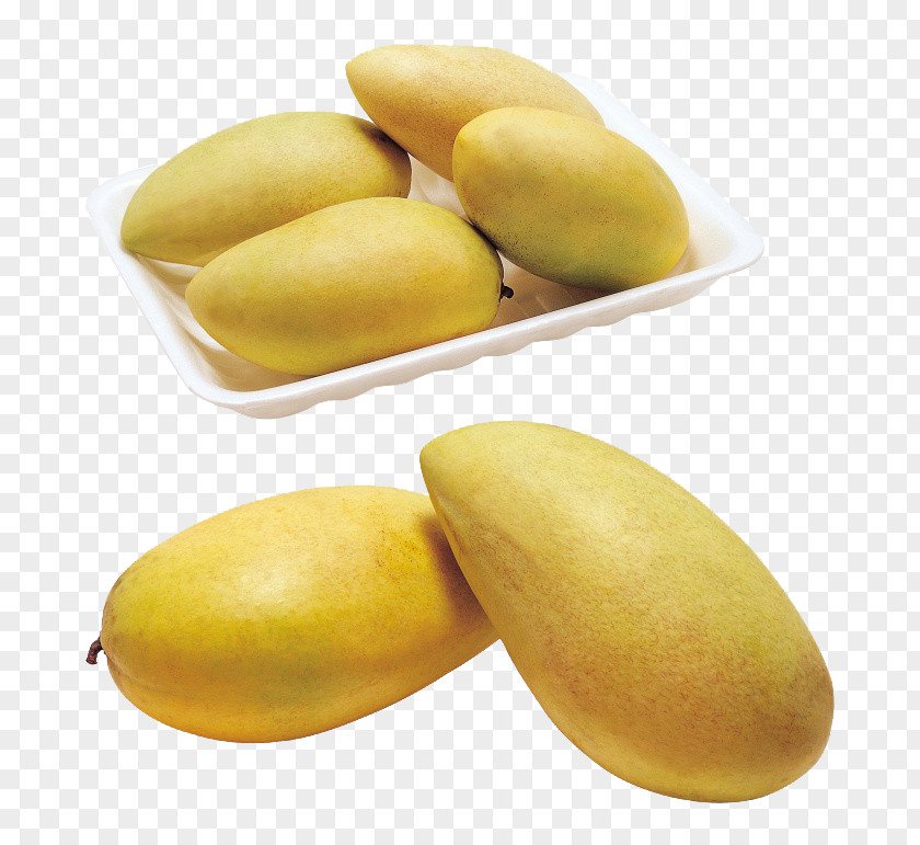 Delicious Mango Designer Yellow PNG