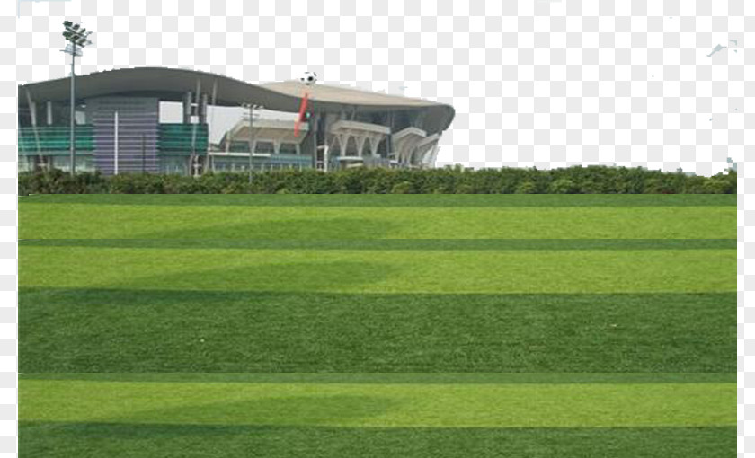 Filled With Sand And Colloidal Composition Of The Artificial Turf Lawn Football Pitch PNG