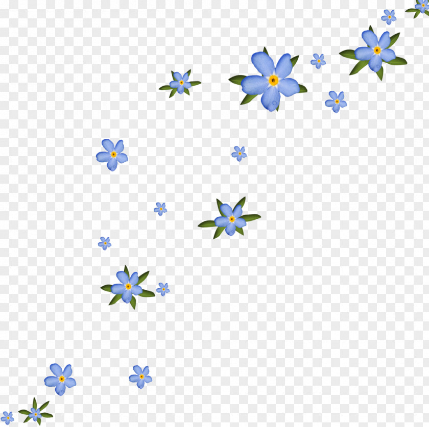 Gif Flower Photography Picture Frames Clip Art PNG