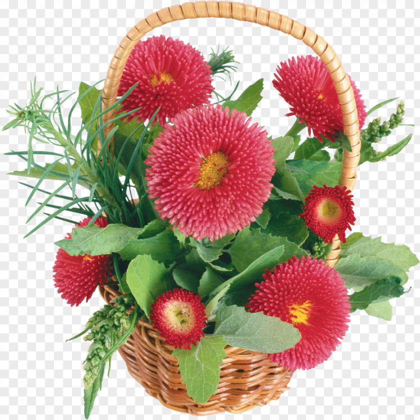 Golden Chrysanthemum Desktop Wallpaper Birthday Flower PNG