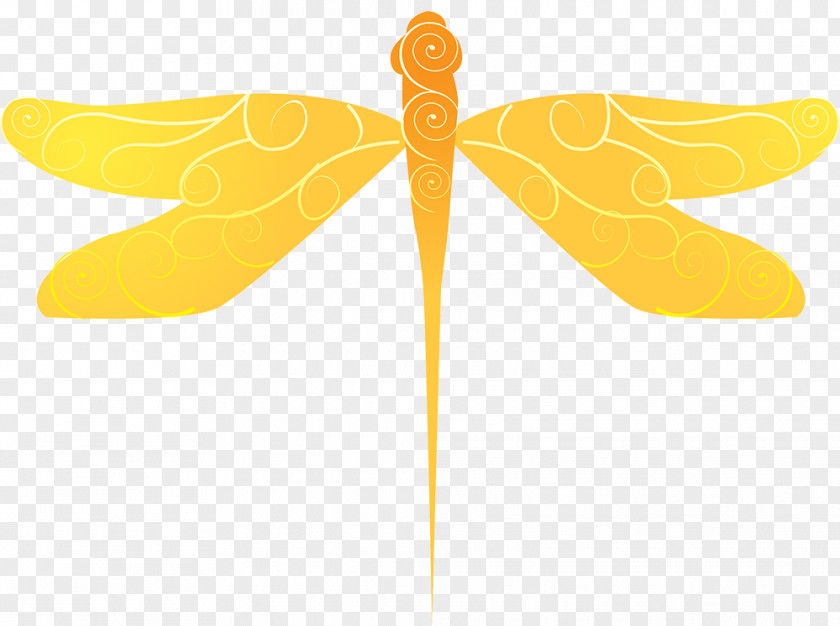 Insect Line PNG