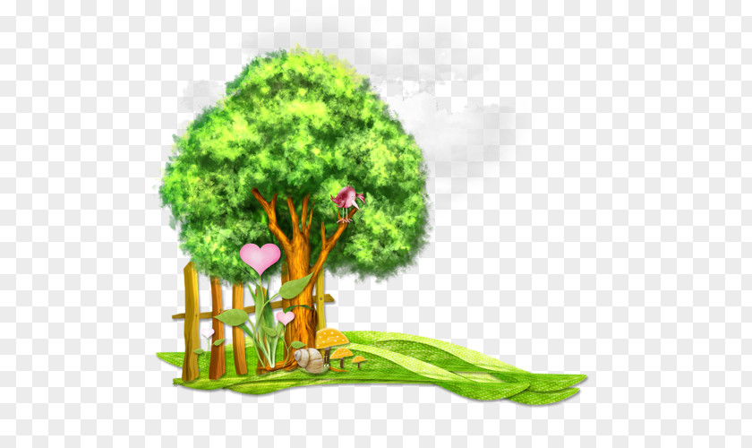 L Transpiration Tree Forest Clip Art PNG