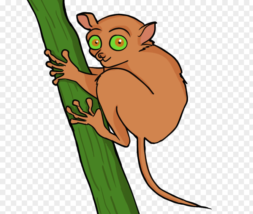 Pictures Of Nocturnal Animals Tarsier Royalty-free Clip Art PNG