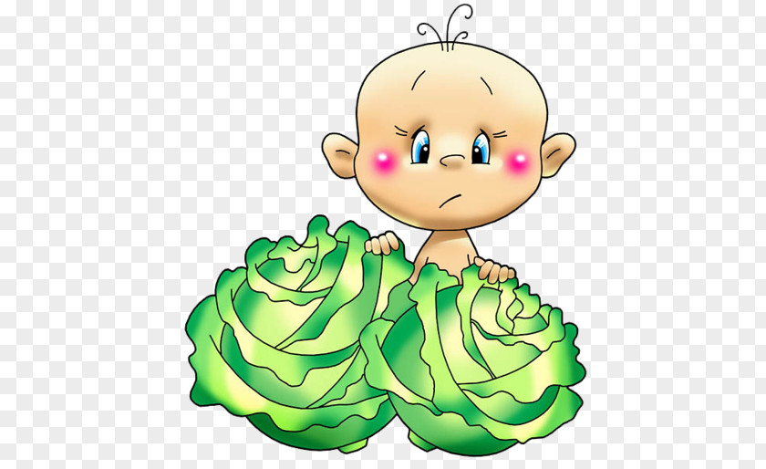 Cabbages Cartoon Clip Art Image Diaper Child Illustration PNG