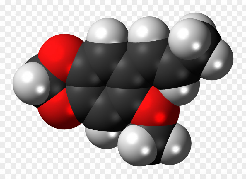 Phenylpropene Odysseus' Scar Odyssey Telemachus Calypso PNG