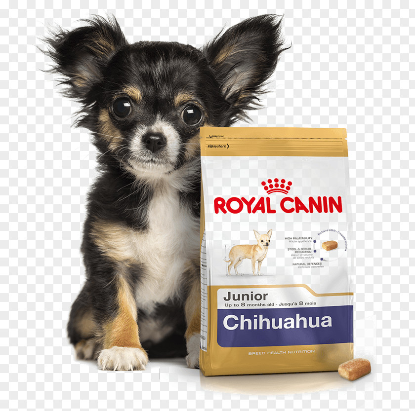 Puppy Chihuahua Bichon Frise Cat Food Yorkshire Terrier PNG