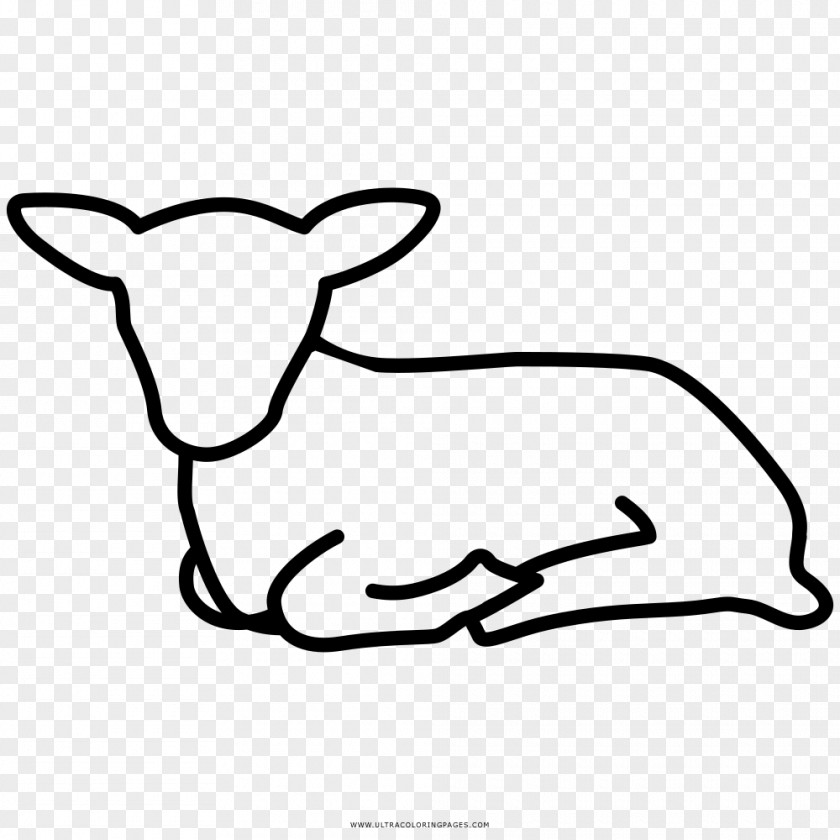 Sheep Agneau Coloring Book Drawing Lamb And Mutton PNG