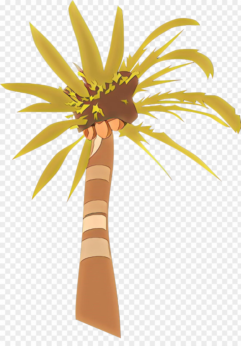 Sunflower Flower Coconut Tree Drawing PNG