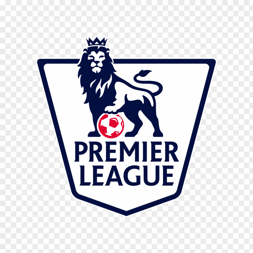 2016–17 Premier League 2015–16 2018–19 2013–14 2017–18 PNG