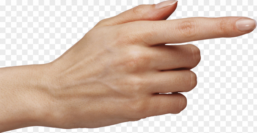 Hand Index Finger Transparency Clip Art PNG