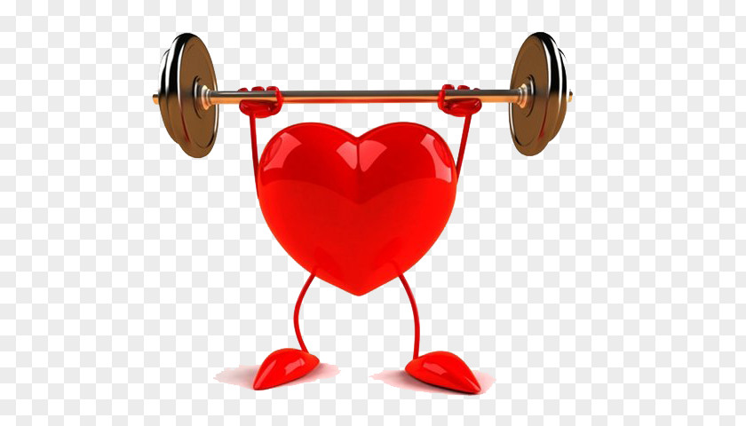 Heart Cardiovascular Disease Health PNG