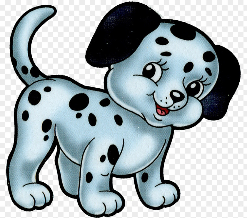 Puppy Yorkshire Terrier Affenpinscher Cat Child PNG