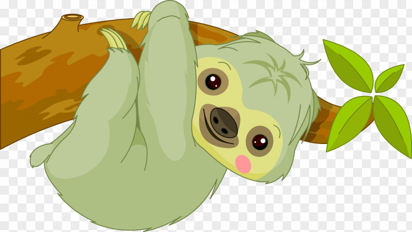 Twotoed Sloth Baby Sloths Cartoon PNG