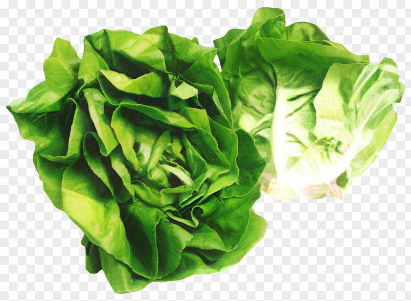 Vegetarian Food Spinach Green Leaf Background PNG