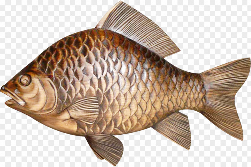 Brown Fish Tilapia Clip Art PNG