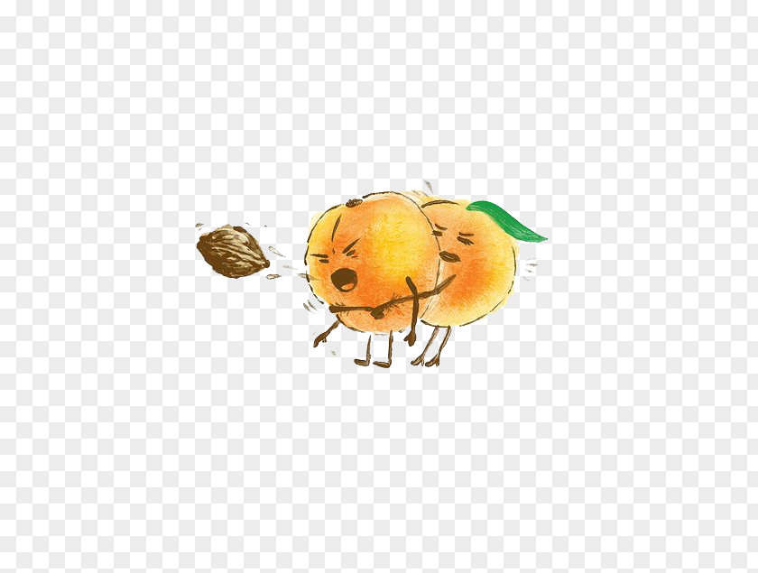 Cartoon Peach Humour Apricot Illustration PNG