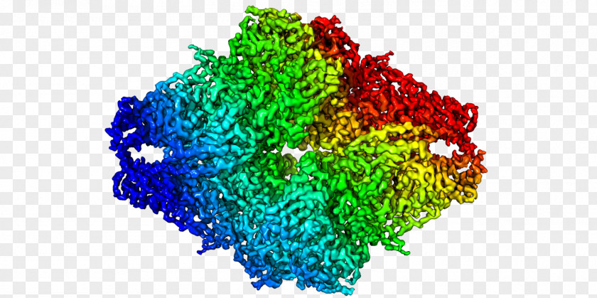 Gold Atom Diagram Cryogenic Electron Microscopy Beta-galactosidase Microscope Protein Transmission PNG