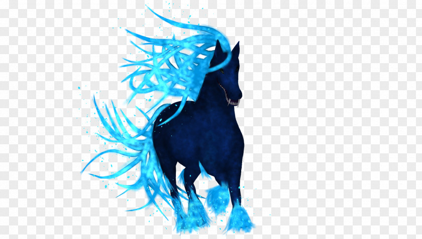 Horse Desktop Wallpaper Computer PNG