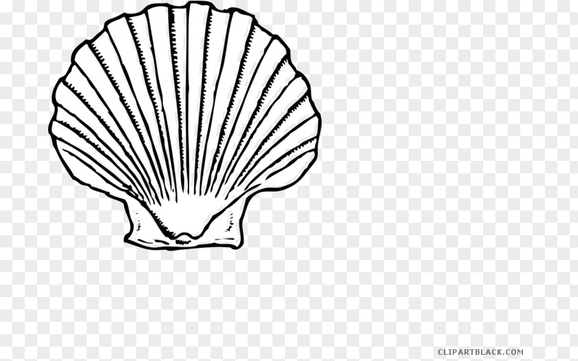 Seashell Clip Art Illustration Vector Graphics Oyster PNG