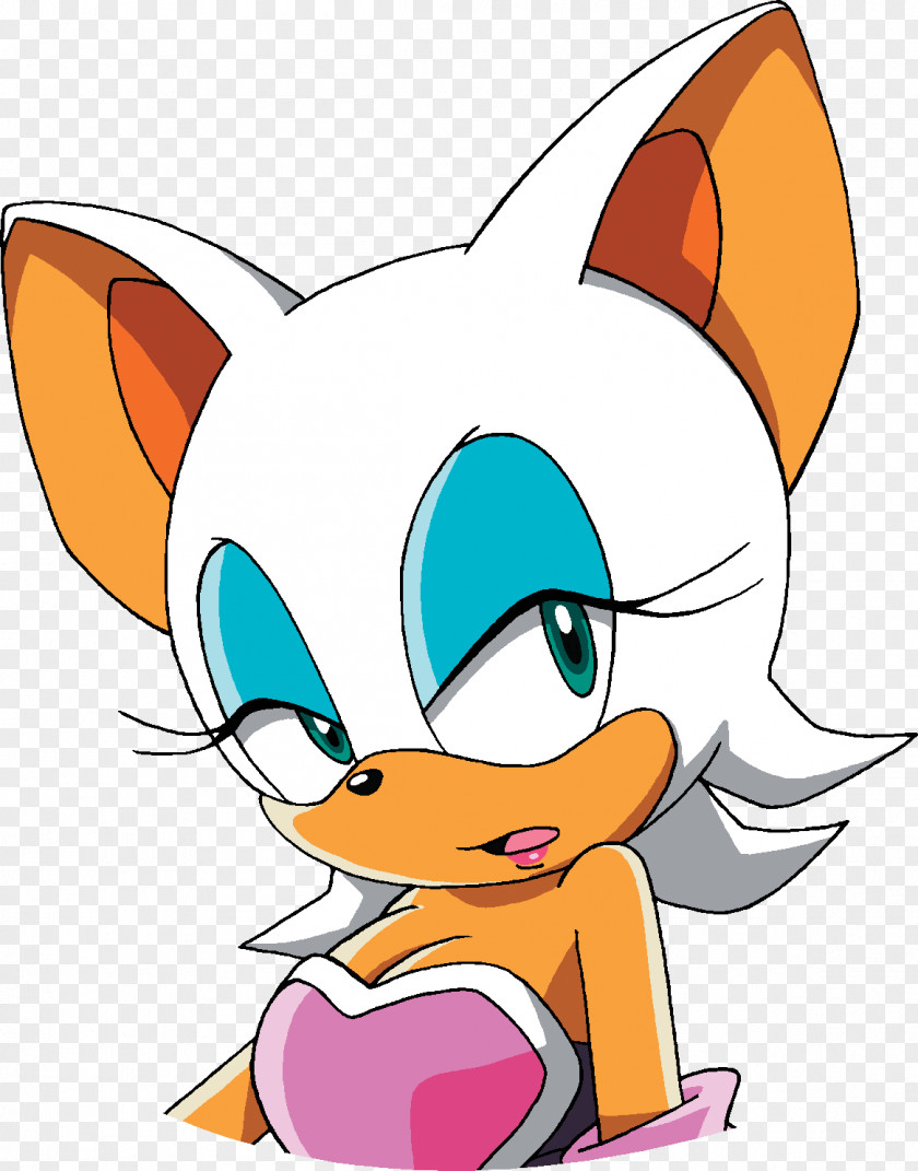 Sonic Riders: Zero Gravity Rouge The Bat Tails Amy Rose PNG