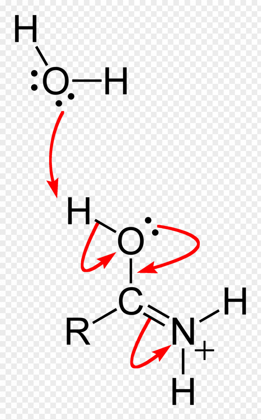 Steps Carboxamide Chemistry Atom Peptide Bond PNG