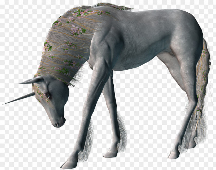 Unicorn Pegasus Clip Art PNG