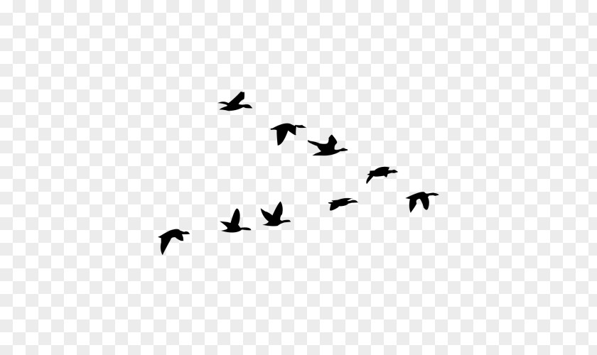 Bird Migration Goose Clip Art Computer Software Twocanoes PNG