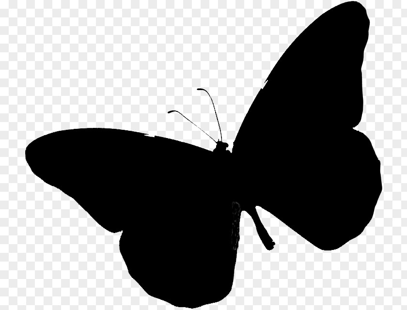 Brush-footed Butterflies Clip Art Silhouette Black M PNG