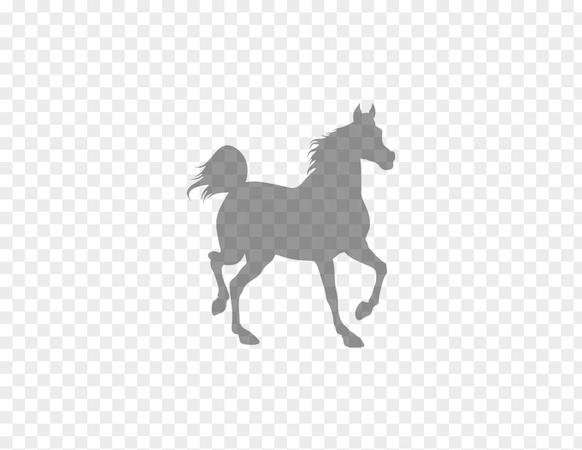 Horse Silhouette Shire Black Royalty-free Clip Art PNG