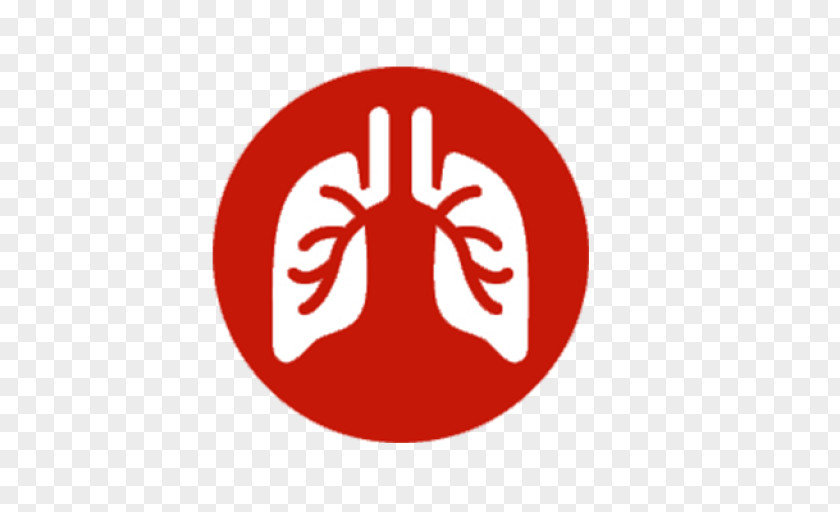 Lung Respiratory System Pathogen Disease Tract PNG