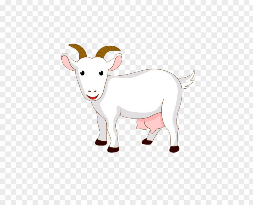 White Goat Sheep Cattle Milk Clip Art PNG