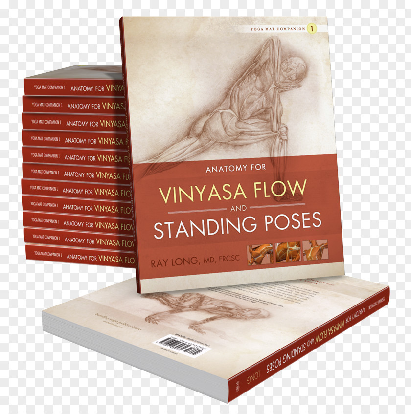 Yoga Anatomy For Vinyasa Flow And Standing Poses: Mat Companion 1 Backbends Twists The Key Muscles Of Yoga: Scientific Keys Hatha PNG
