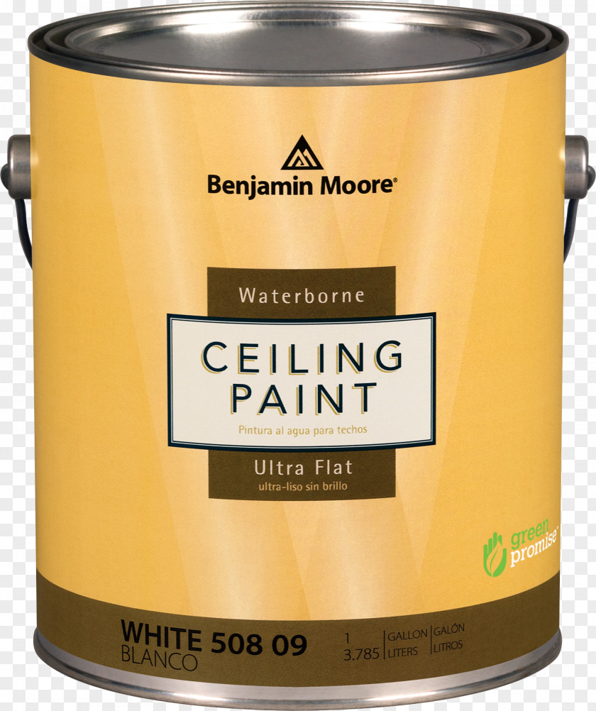 Benjamin Moore Painted CeilingPaint & Co. Da Kine Paints LLC PNG